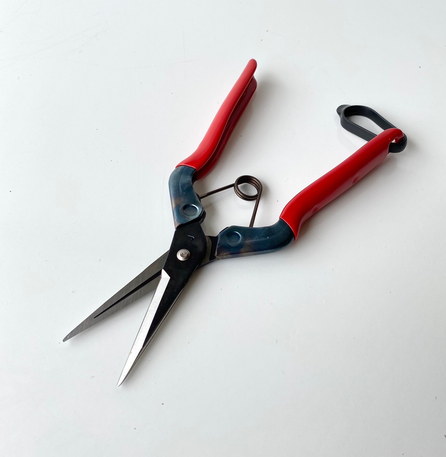 Japanese Essential Shears – The Floral Society